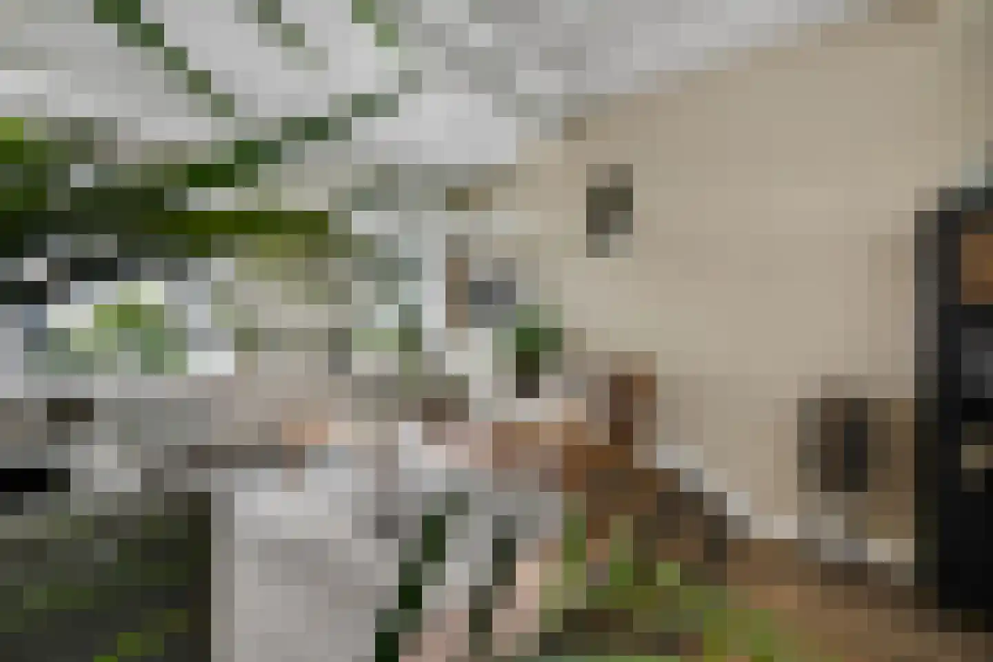 Kerkweg 18 Vorchten thumbnail 9