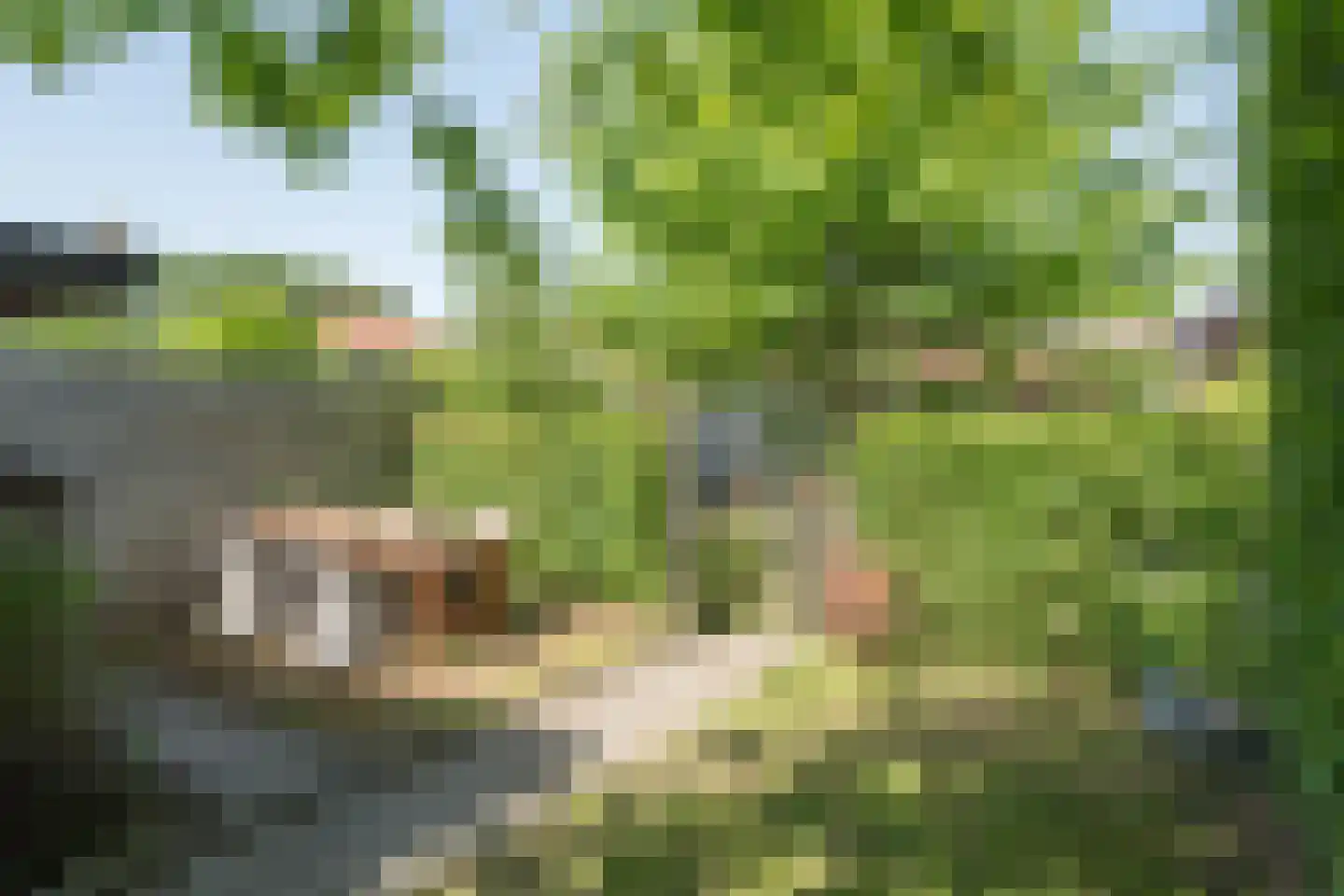 Kerkweg 189 Ridderkerk thumbnail 14