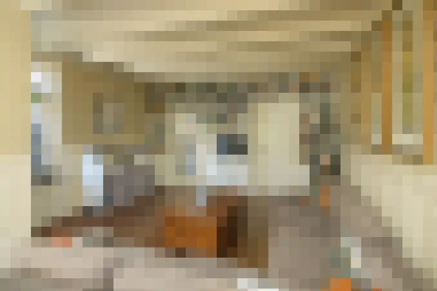 Kerkweg 189 Ridderkerk thumbnail 4
