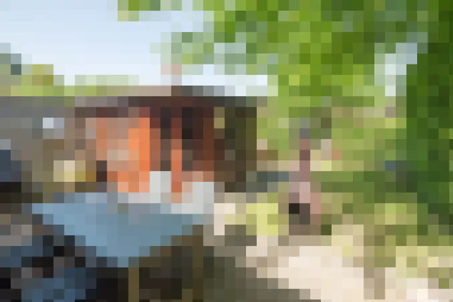 Kerkweg 189 Ridderkerk thumbnail 8