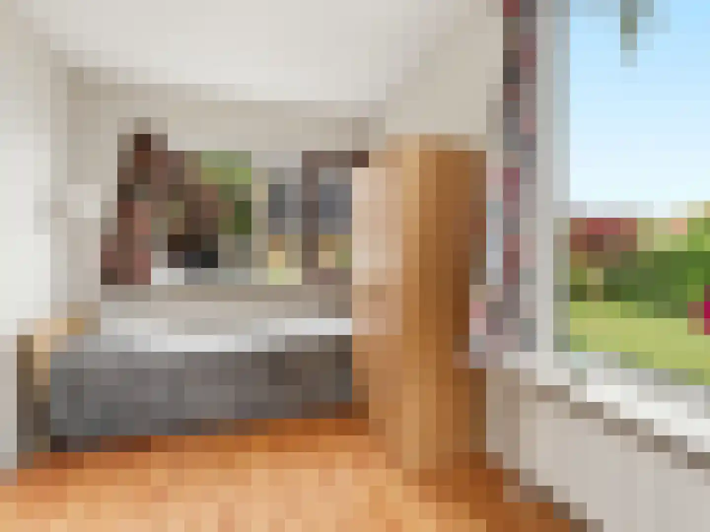 Kerkweg 19 Heelsum thumbnail 21