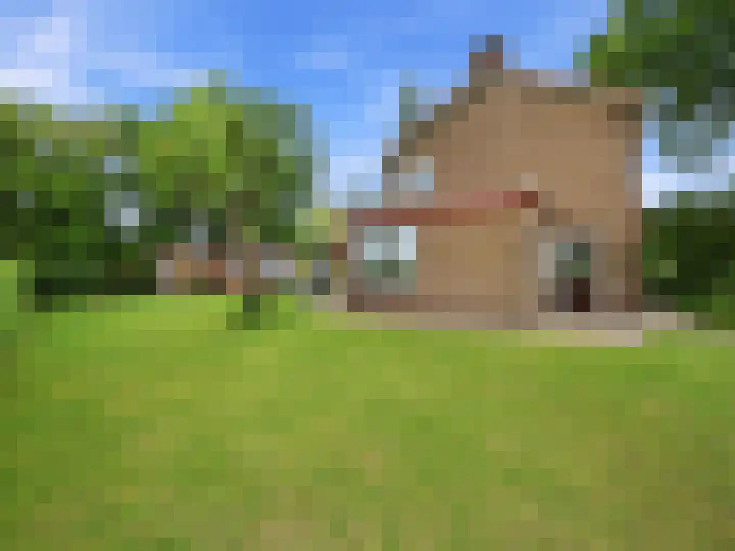 Kerkweg 19 Heelsum thumbnail 30