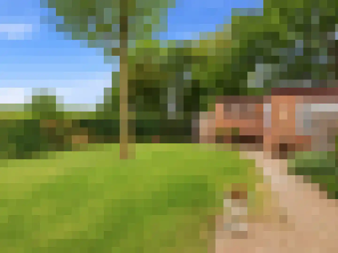 Kerkweg 19 Heelsum thumbnail 37