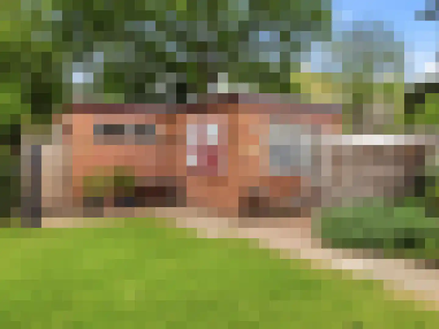 Kerkweg 19 Heelsum thumbnail 38