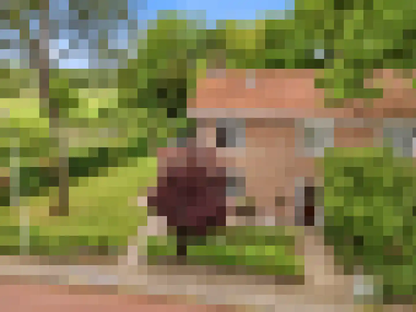 Kerkweg 19 Heelsum thumbnail 4
