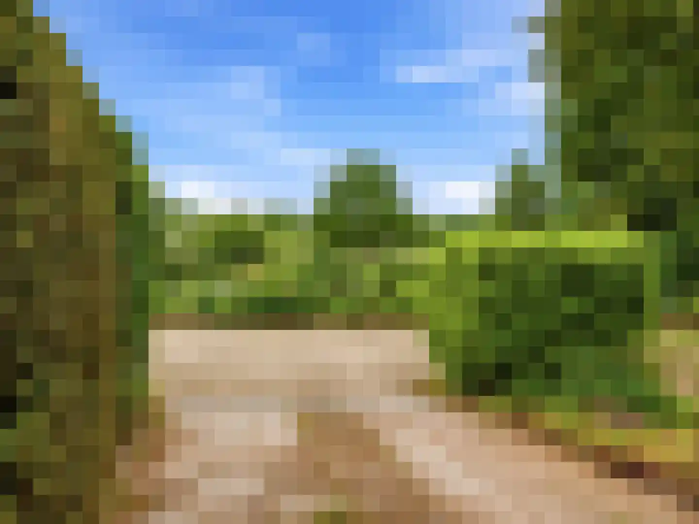 Kerkweg 19 Heelsum thumbnail 40