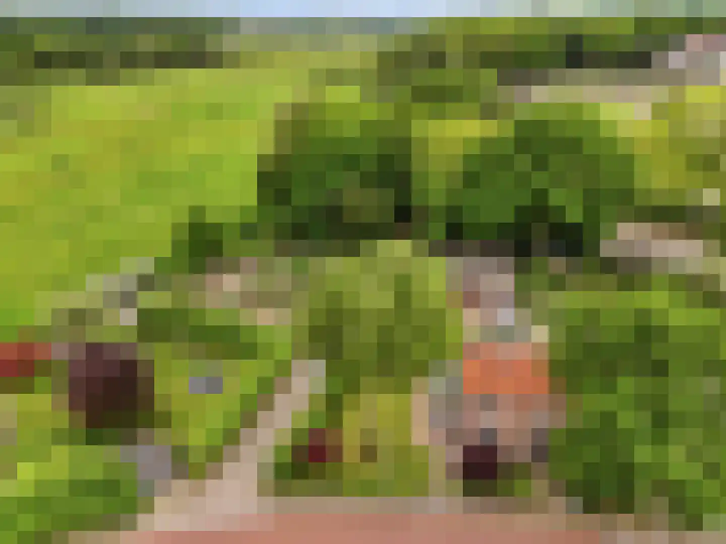 Kerkweg 19 Heelsum thumbnail 41