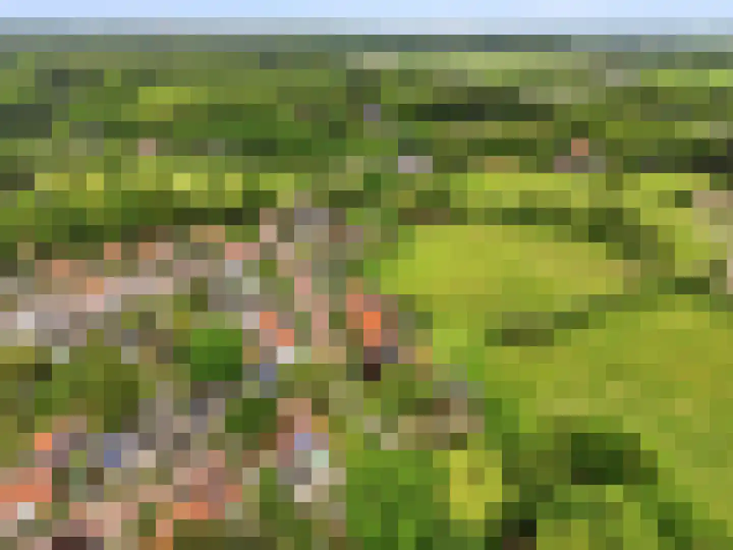 Kerkweg 19 Heelsum thumbnail 42