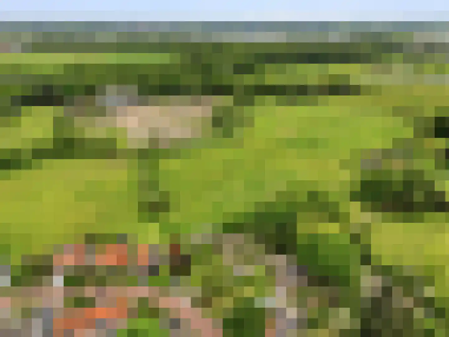 Kerkweg 19 Heelsum thumbnail 43