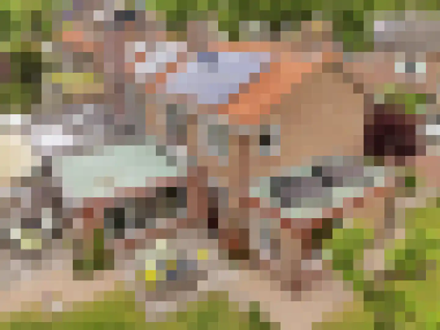 Kerkweg 19 Heelsum thumbnail 45