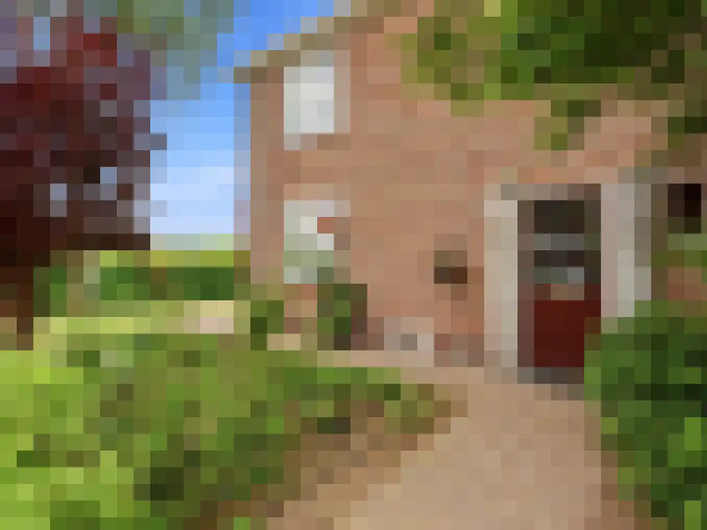 Kerkweg 19 Heelsum thumbnail 7