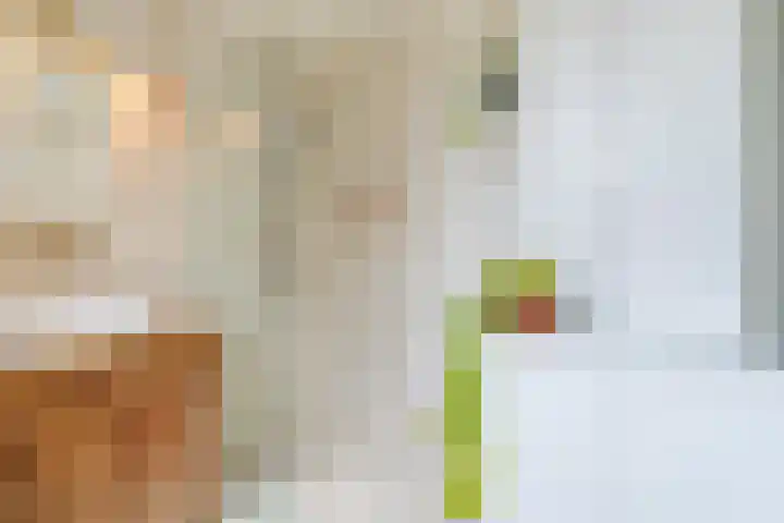 Kerkweg 19 Utrecht thumbnail 20