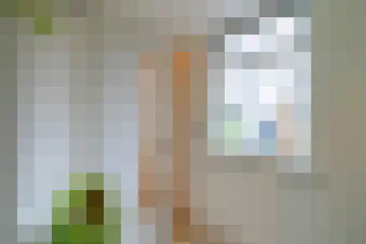 Kerkweg 19 Utrecht thumbnail 23