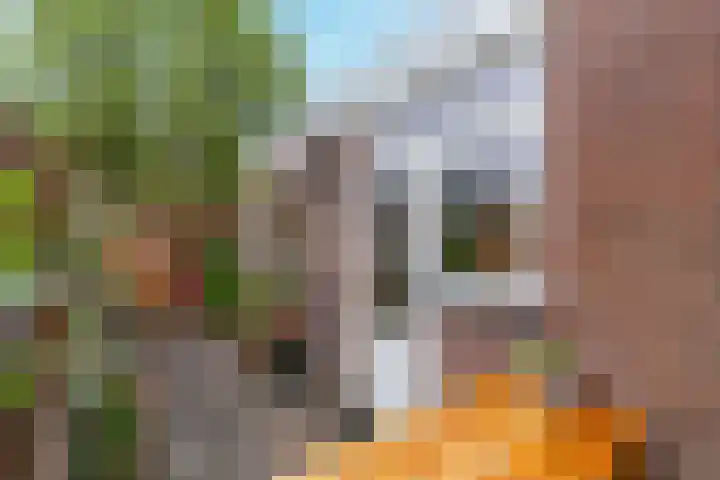 Kerkweg 19 Utrecht thumbnail 24