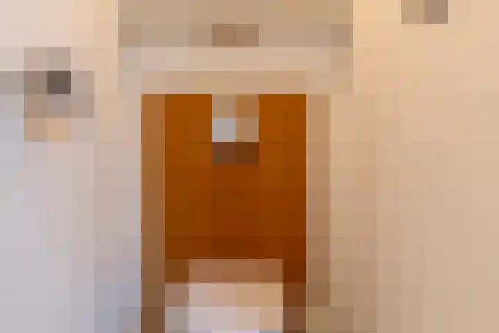 Kerkweg 19 Utrecht thumbnail 29