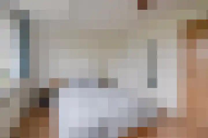 Kerkweg 19 Utrecht thumbnail 37