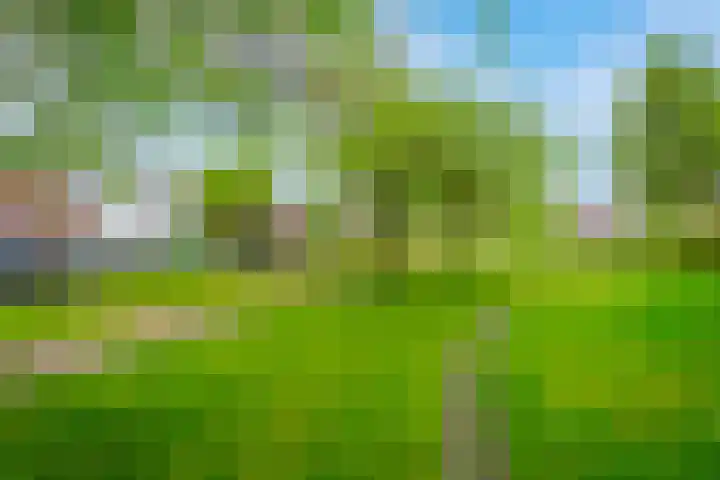 Kerkweg 19 Utrecht thumbnail 43