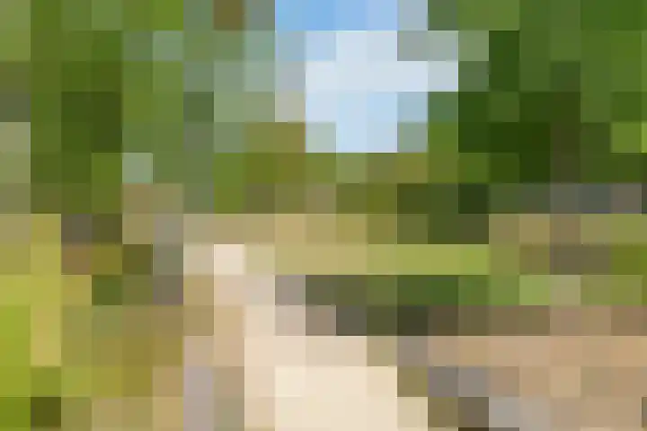 Kerkweg 19 Utrecht thumbnail 44