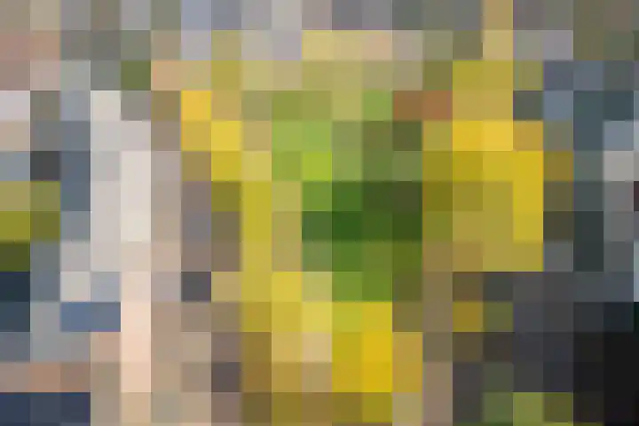 Kerkweg 19 Utrecht thumbnail 48