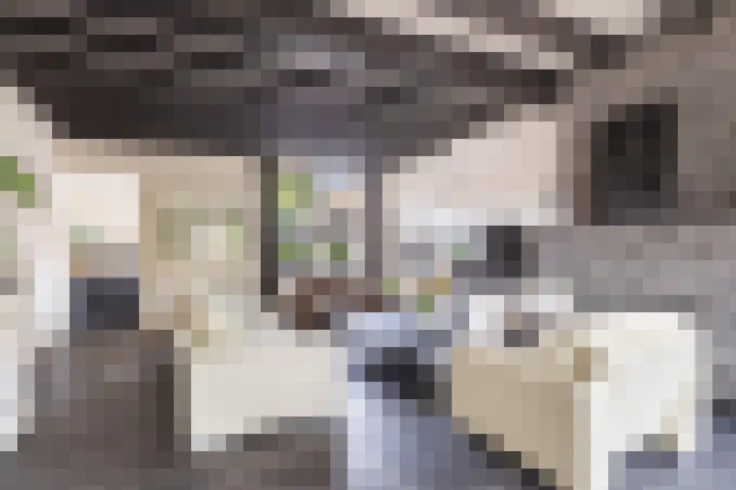 Kerkweg 195 Ridderkerk thumbnail 12