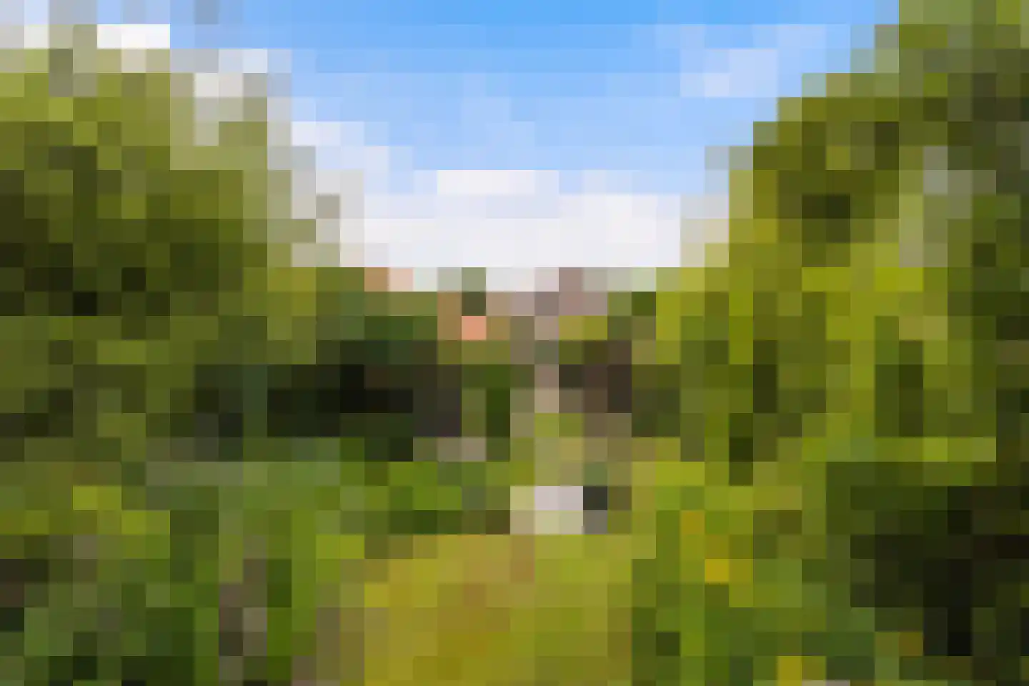 Kerkweg 195 Ridderkerk thumbnail 25
