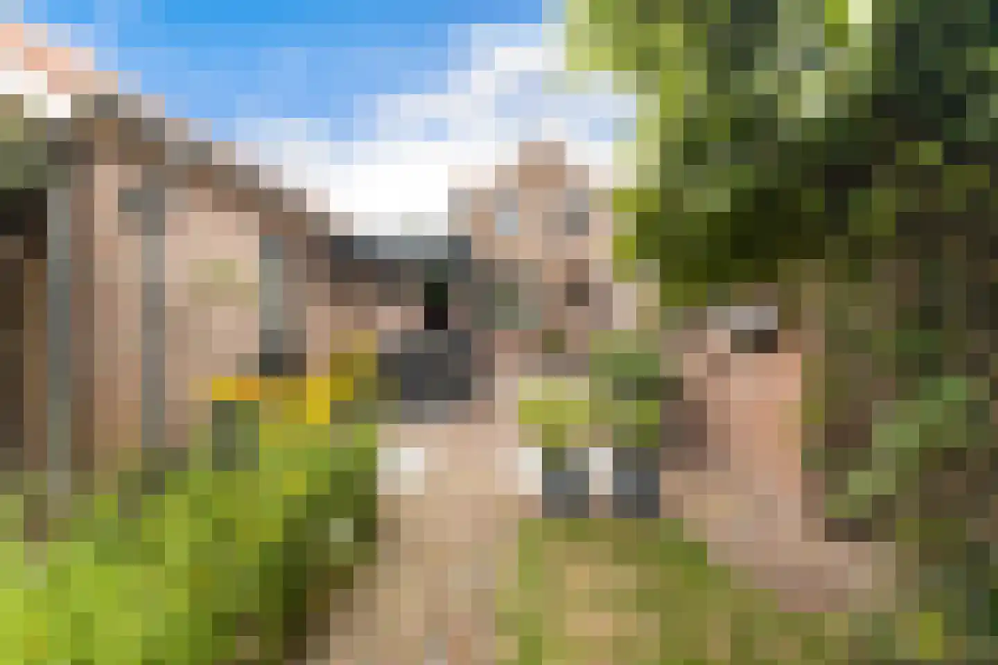 Kerkweg 195 Ridderkerk thumbnail 27