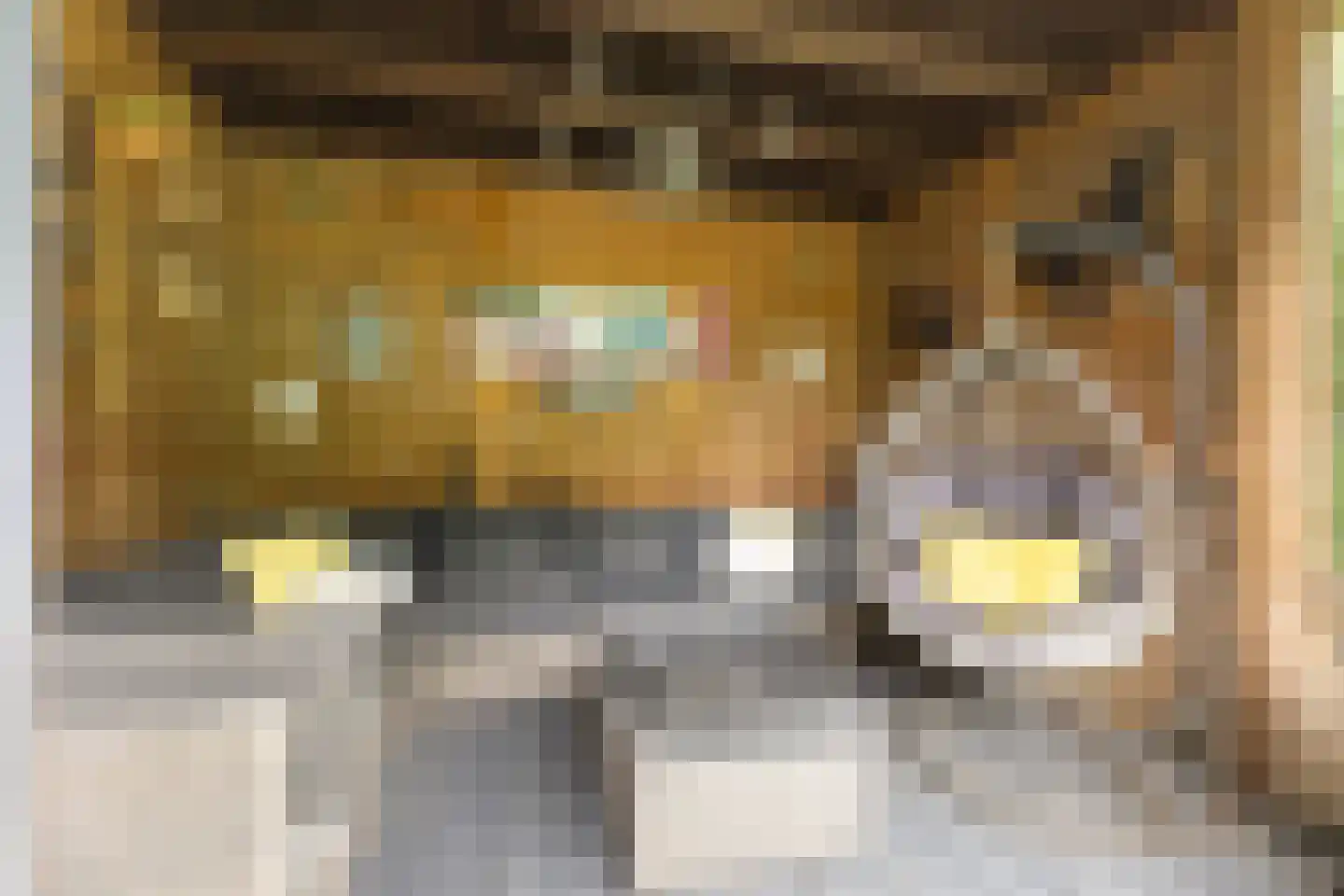 Kerkweg 195 Ridderkerk thumbnail 30