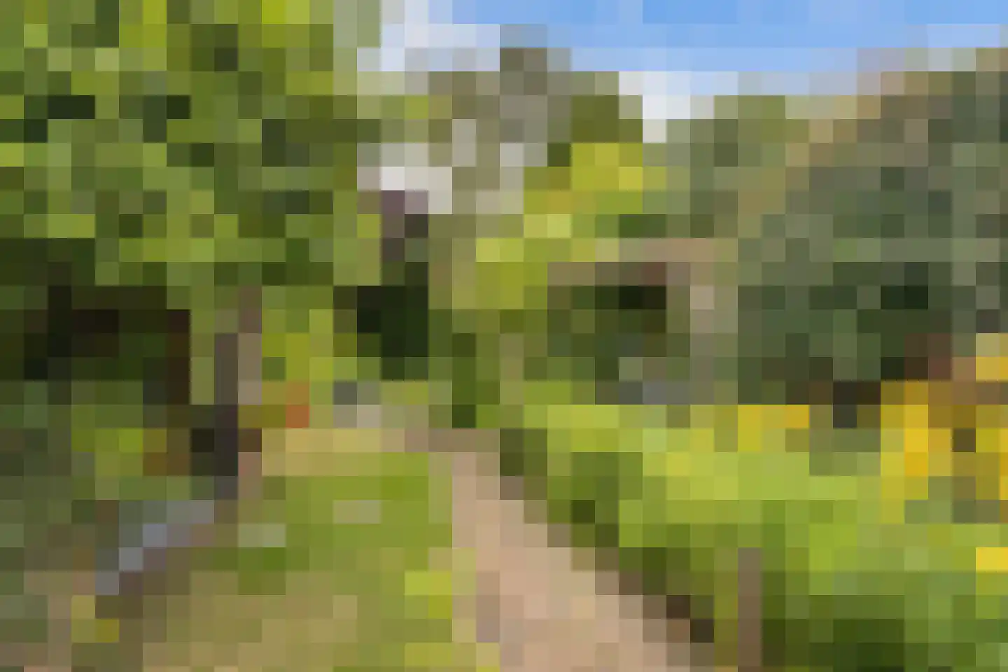 Kerkweg 195 Ridderkerk thumbnail 32