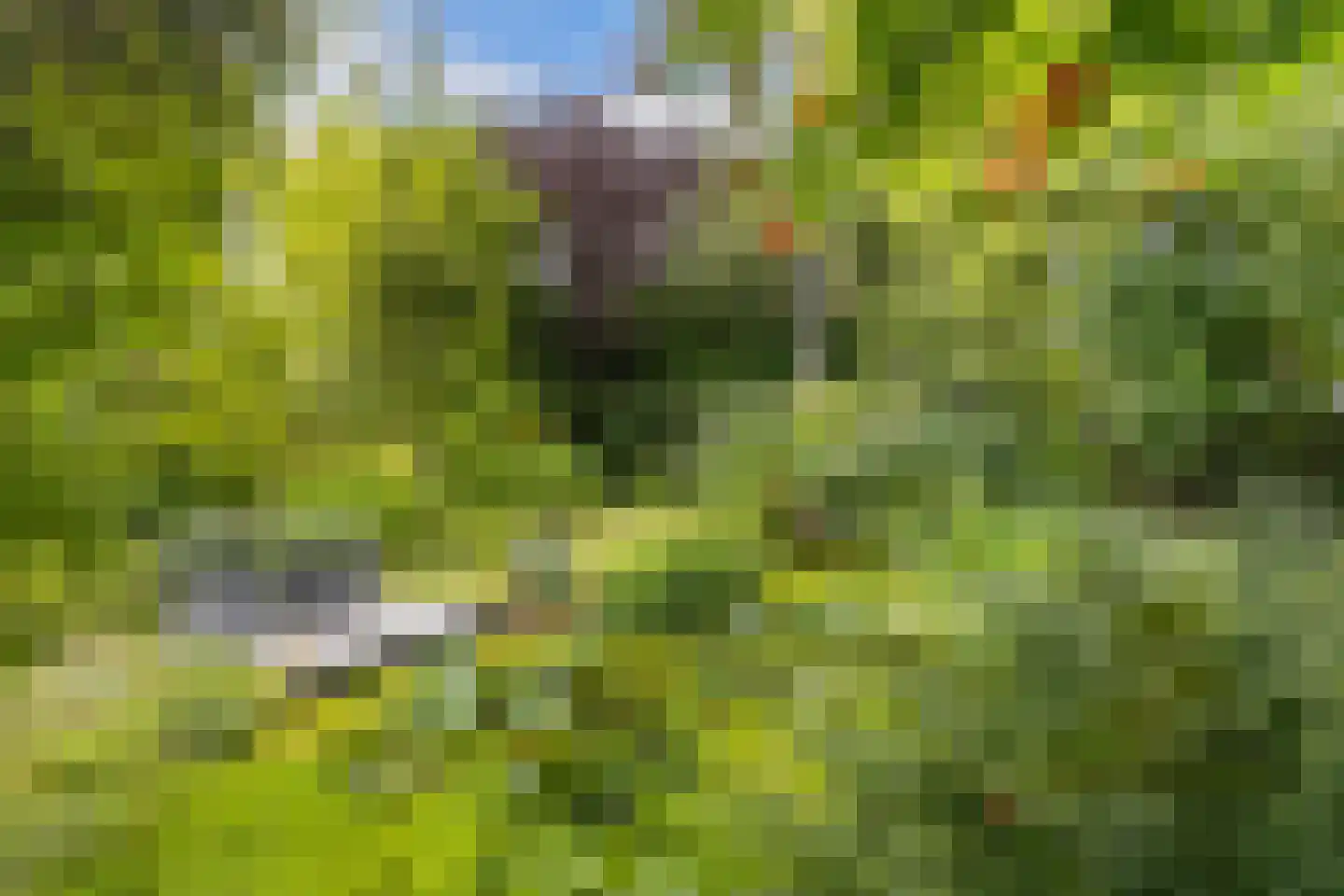 Kerkweg 195 Ridderkerk thumbnail 33