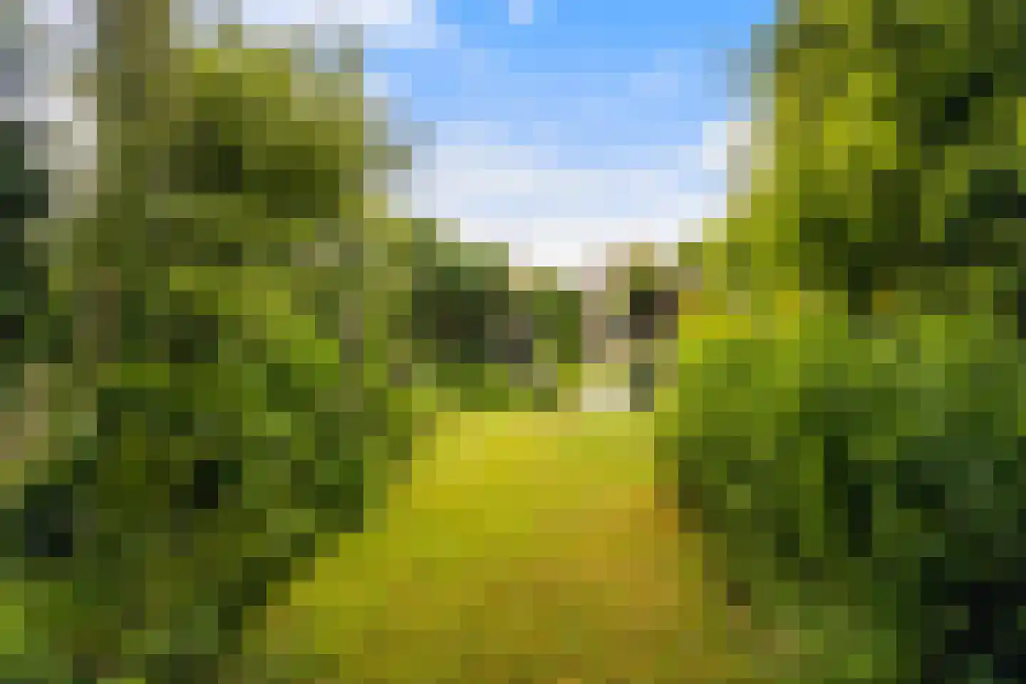 Kerkweg 195 Ridderkerk thumbnail 34