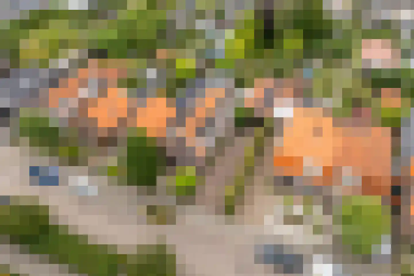 Kerkweg 195 Ridderkerk thumbnail 35