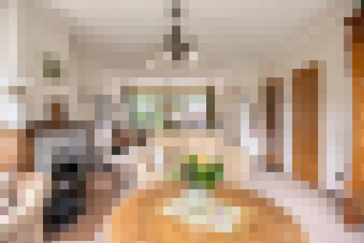 Kerkweg 2 b Ouderkerk aan den IJssel thumbnail 10