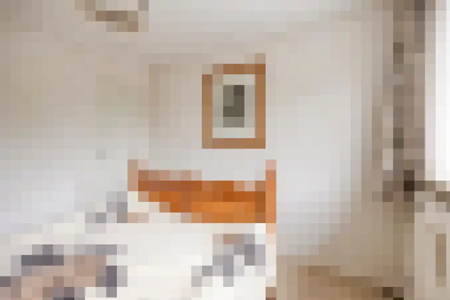 Kerkweg 2 b Ouderkerk aan den IJssel thumbnail 34