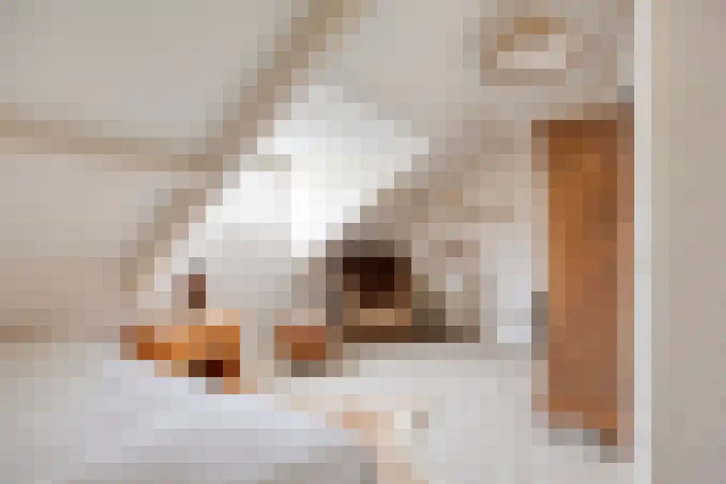 Kerkweg 2 b Ouderkerk aan den IJssel thumbnail 35
