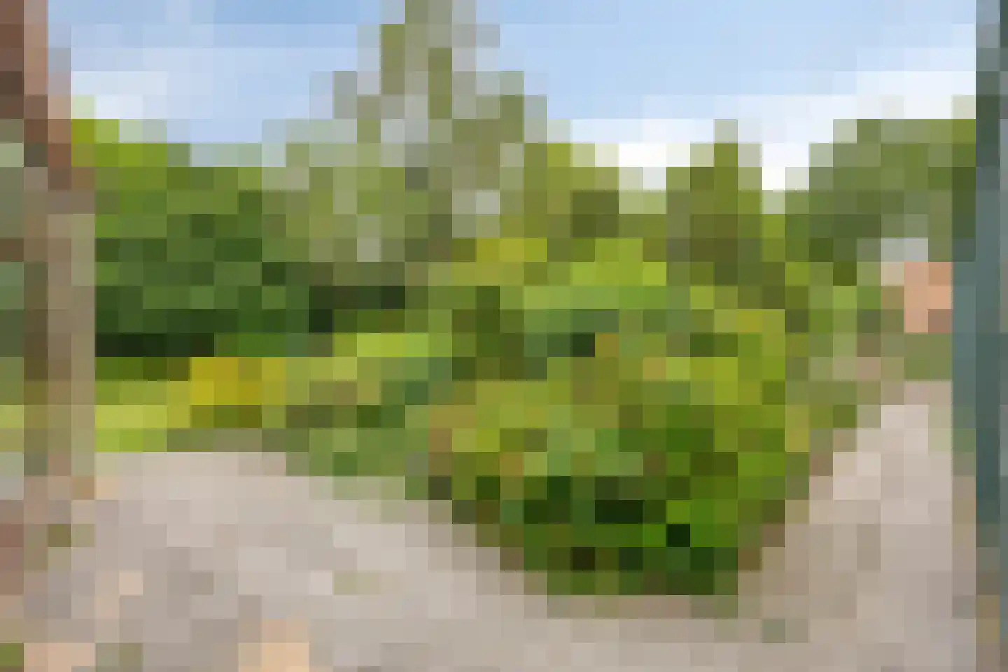 Kerkweg 2 b Ouderkerk aan den IJssel thumbnail 50