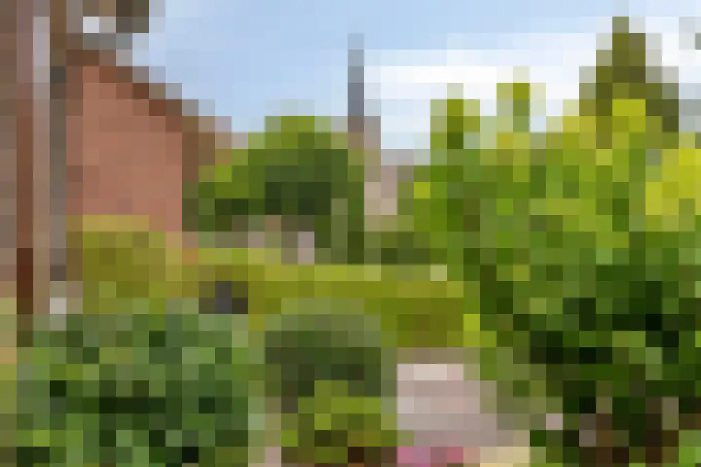 Kerkweg 2 b Ouderkerk aan den IJssel thumbnail 61