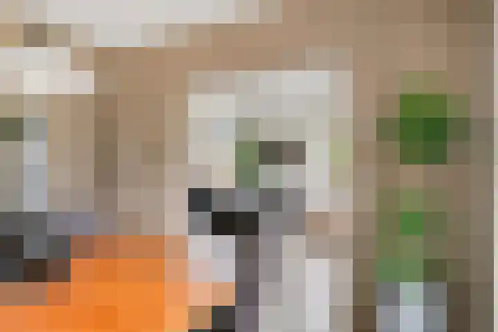 Kerkweg 2 Heesch thumbnail 16