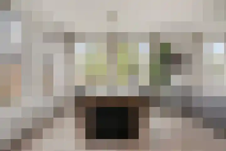 Kerkweg 2 Heesch thumbnail 20