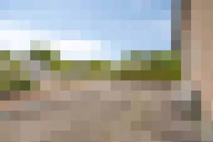 Kerkweg 2 Heesch thumbnail 32