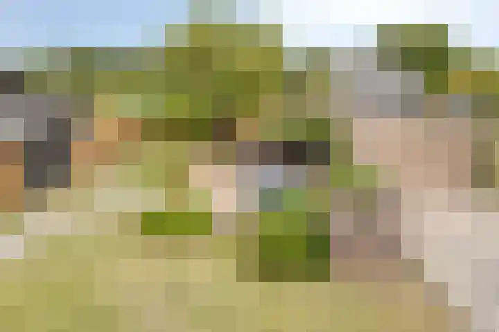 Kerkweg 2 Heesch thumbnail 33