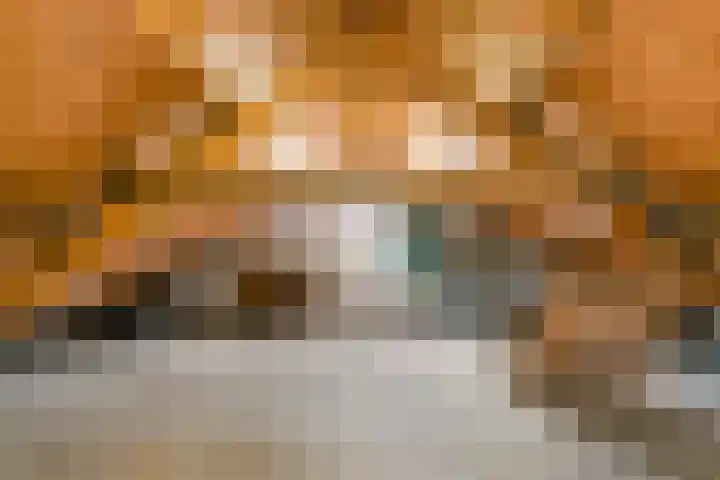 Kerkweg 2 Heesch thumbnail 46