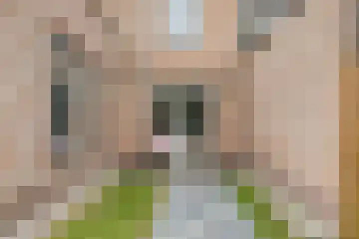 Kerkweg 2 Heesch thumbnail 48