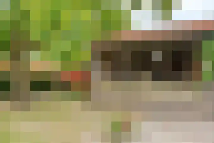 Kerkweg 2 Heesch thumbnail 52