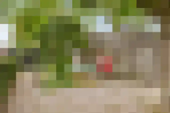 Kerkweg 2 Heesch thumbnail 53