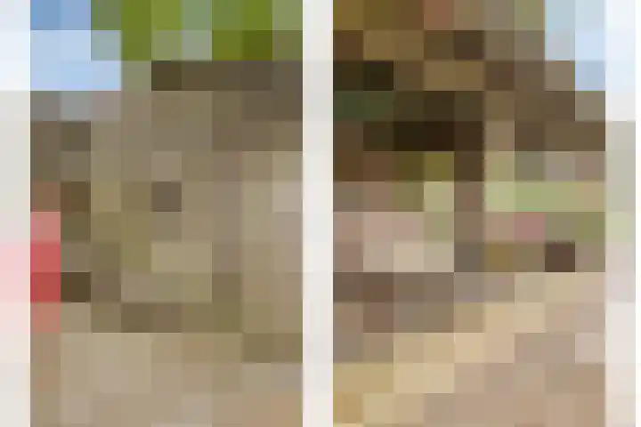 Kerkweg 2 Heesch thumbnail 54