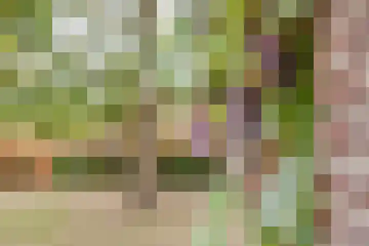Kerkweg 2 Heesch thumbnail 55
