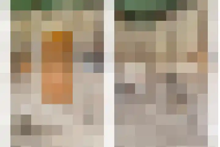 Kerkweg 2 Heesch thumbnail 59