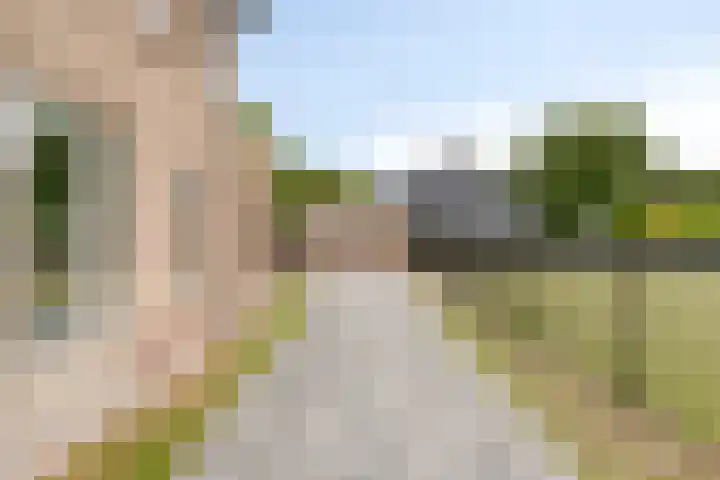 Kerkweg 2 Heesch thumbnail 62