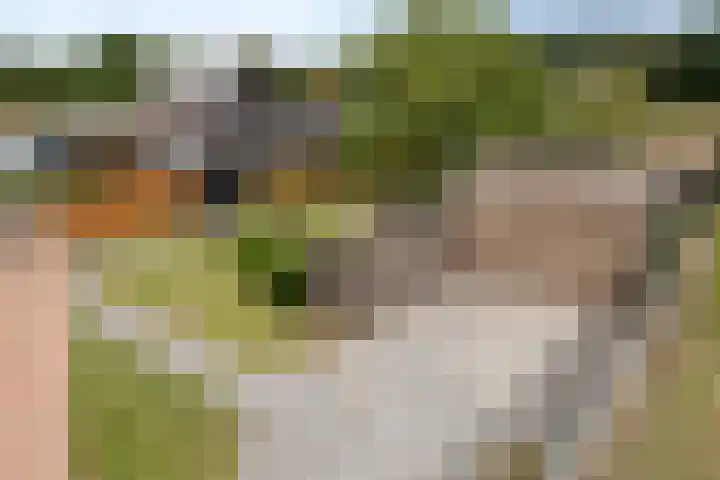 Kerkweg 2 Heesch thumbnail 63