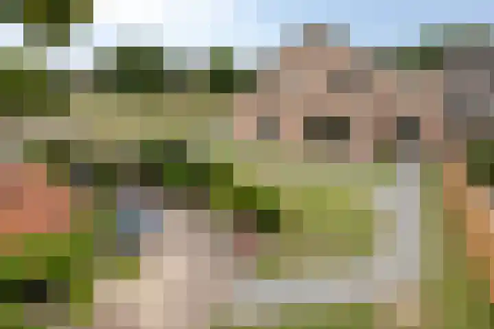 Kerkweg 2 Heesch thumbnail 65